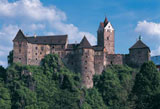 Burg Elbogen